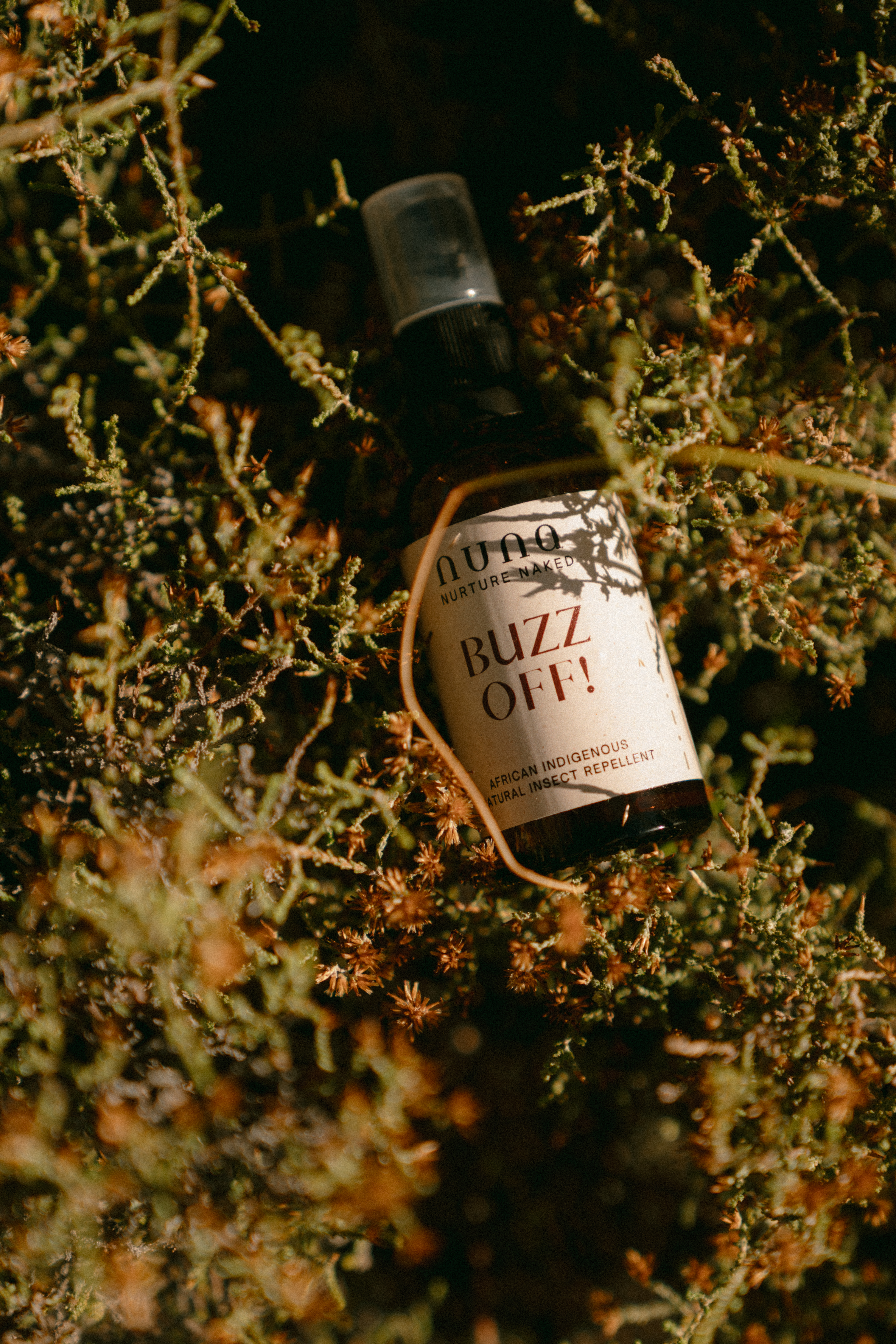 Buzz Off! Natural Insect Repellent by NUNA resting in wild foliage.
